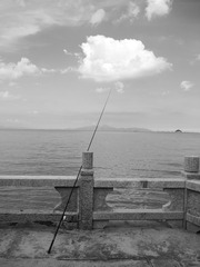 P6022617.jpg