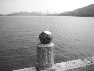 P4232542.jpg