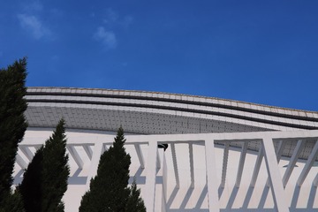 6A0137E4-6AFF-4902-9AB7-C3D9F9CEED29/L0/001
