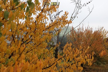 2D7BC5BE-78DB-4276-8F23-AD4591713ADD/L0/001
