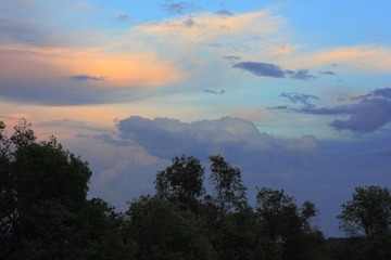 IMG_0661.JPG