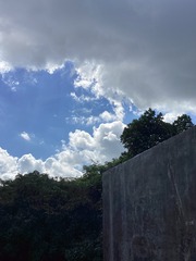 B8A200FE-3555-4EB0-BF2E-B052CAC95250/L0/001