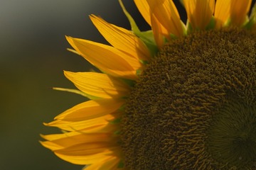 E878041E-09D0-45DC-98F9-1B84B8607E6D/L0/001