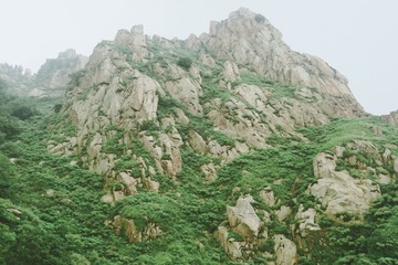 1004601