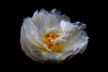 678B38E4-1C7B-4022-92F2-D4CB1139FCFD/L0/001