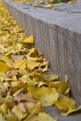 9F433876-99E0-4B56-931F-FF48D9D57A65/L0/001