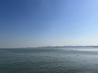 22E05ACA-6E7A-4F27-B361-1E334F34E1D2/L0/001