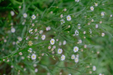 C3D81BC1-212F-49EB-98FE-2858E20E094D/L0/001