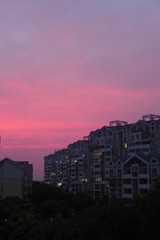 1B1D8A82-A339-40F8-AA31-7EF5A637CA3F/L0/001