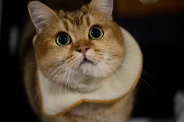 6564
