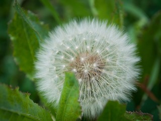 PA060005