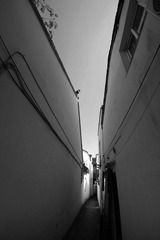 IMGP5207.jpg