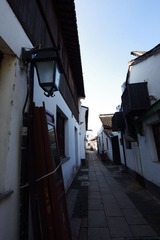 IMGP5217.JPG