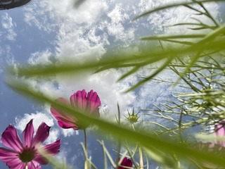 BC8DD34D-F118-484F-8E7D-3A87D48CB2EE/L0/001