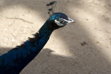 384191