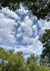 C2427B7D-0097-4007-A83A-F0D769652DC7/L0/001