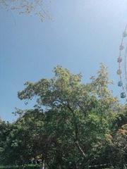 1263771