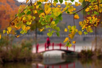 tmp_5609f815d137ddcf7d3000507beb81f1