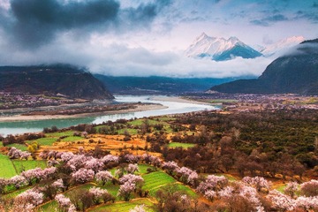 《雪域春来》