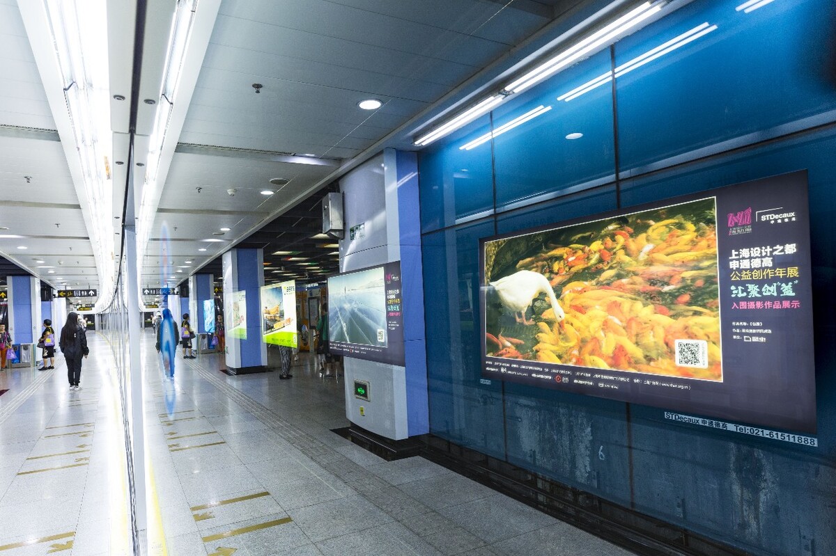 图虫摄影师@风虎路 《包围》