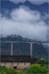 1000112627