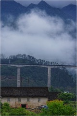 1000112624