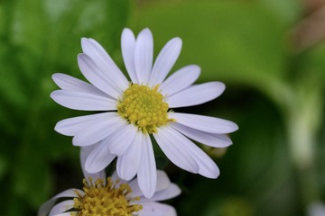 89231BA6-3F30-4AB5-B71C-F4DC9A75A882/L0/001