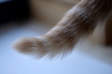 15D7CF16-9922-43A4-8540-ABCEB3A771F3/L0/001