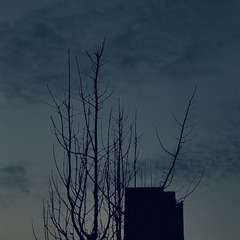 1000190219