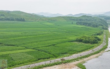 DJI_0145