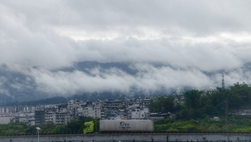 1000295042