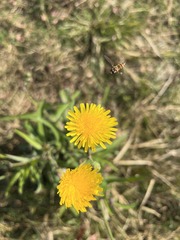 AE636B1C-2C90-4B12-B817-9160115101C6/L0/001