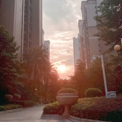 17E96AAB-2E79-4BD5-8DCF-01B48B59E92C/L0/001