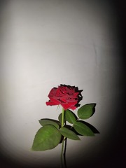 1000001302