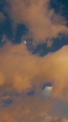 219B1006-7F37-4BBA-B494-7DEEB9885545/L0/001
