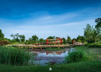 1568471