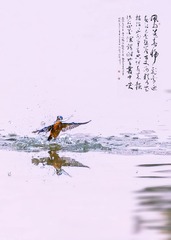 C930088D-990A-4BF3-B95C-681A4DDB378D/L0/001