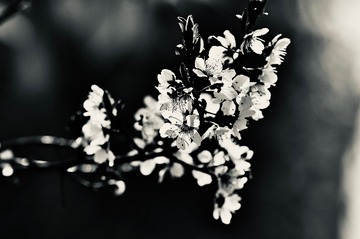 B7C0A75B-4593-4EEC-BF26-0B144F0D2FCF/L0/001