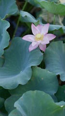 001