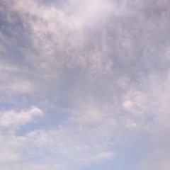 2835357