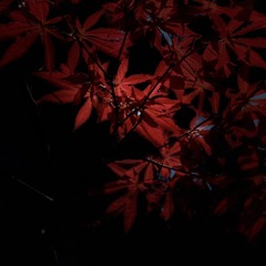 1D53B143-AE7B-407F-922F-B243E9BD830B/L0/001