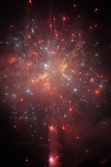 166784