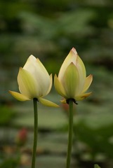 DSC04427.JPG