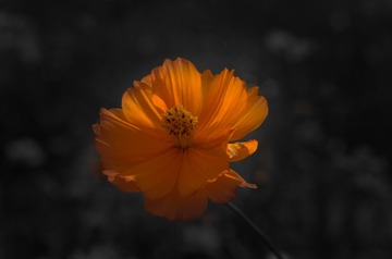 105204