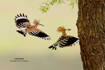 9AF027C3-D07B-42DA-991E-B9F22929FD66/L0/001