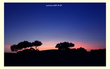 西北向北41