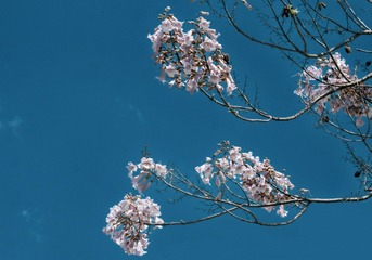 85337881-4D04-4564-A8D8-B62824379D39/L0/001