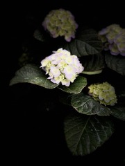 41330124-CA2C-4068-8DA3-C750614BB1F5/L0/001