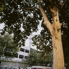 C96BB676-FE93-4082-8584-8108E2DB1B4A/L0/001