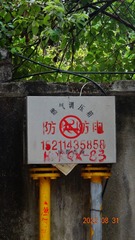 33746
